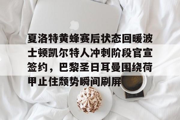 开云官方网站-加内特在波士顿凯尔特人夺冠几次